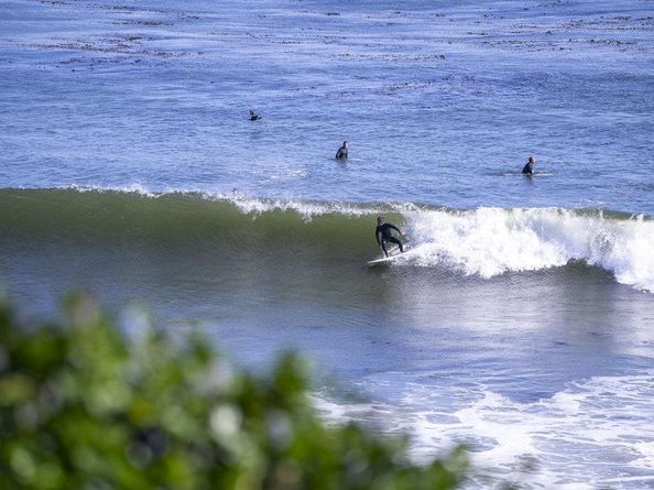 1610 Bulb Avenue, Santa Cruz CA 95062