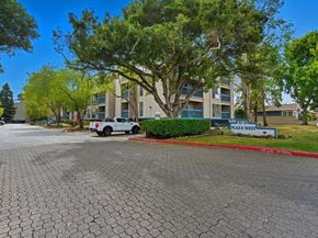 35 W 20th Avenue 113, San Mateo CA 94403