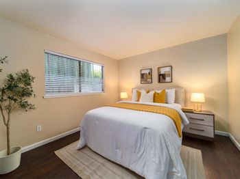 3354 Shadow Park Place