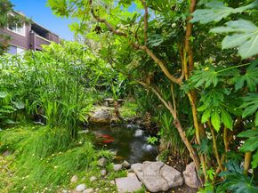 850 Catkin Court, San Jose CA 95128