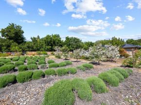 20811 Norada Court, Saratoga CA 95070