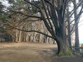 855 Sierra Street, Moss Beach CA 94038