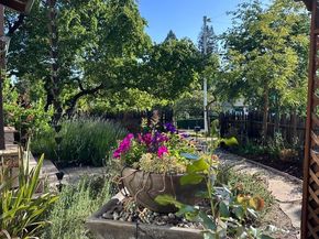 15393 Via Caballero, Monte Sereno CA 95030