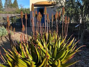 15393 Via Caballero, Monte Sereno CA 95030