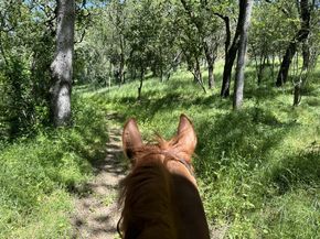 15393 Via Caballero, Monte Sereno CA 95030