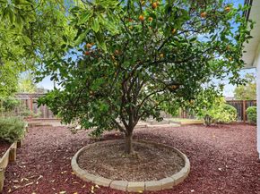 1790 Karameos Court, Sunnyvale CA 94087