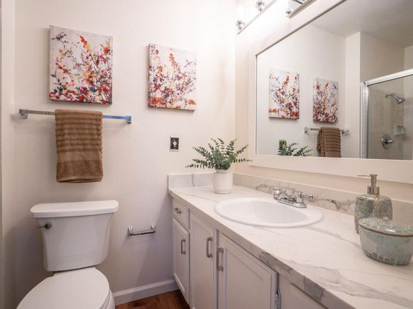 4020 Williams Road 8, San Jose CA 95117