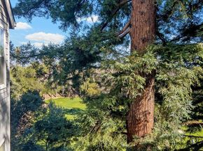 903 Sunrose Terrace 310, Sunnyvale CA 94086