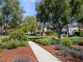 5469 Cribari Green, San Jose CA 95135