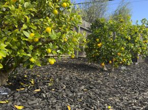 2081 Shoreview Avenue, San Mateo CA 94401