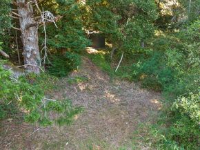 1239 La Madrona Drive, Santa Cruz CA 95060