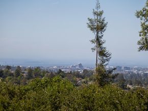 170 Hardwick Road, Woodside CA 94062
