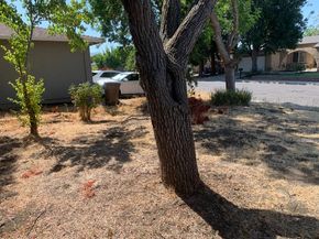 1832 Elkwood Drive, Concord CA 94519