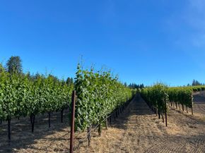 420 Bonnie Brae Road &  3980 Bonny Doon Road, Santa Cruz CA 95060