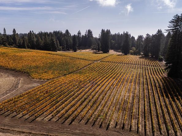 420 Bonnie Brae Road &  3980 Bonny Doon Road, Santa Cruz CA 95060