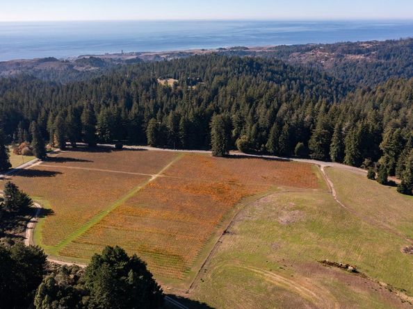420 Bonnie Brae Road &  3980 Bonny Doon Road, Santa Cruz CA 95060