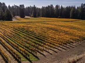 420 Bonnie Brae Road &  3980 Bonny Doon Road, Santa Cruz CA 95060