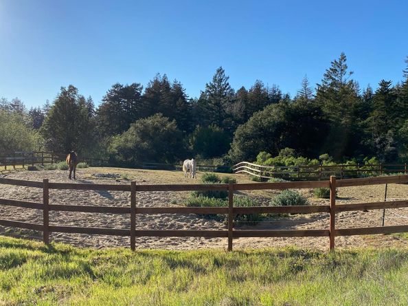 420 Bonnie Brae Road &  3980 Bonny Doon Road, Santa Cruz CA 95060