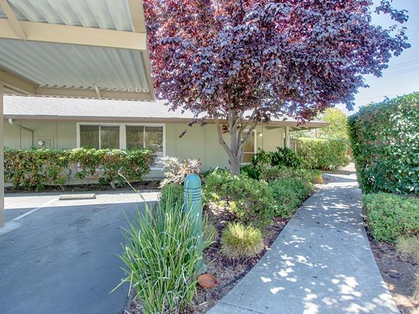 140 Castillion Terrace, Santa Cruz CA 95060