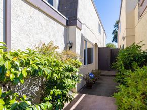 1338 Shoal Drive, San Mateo CA 94404