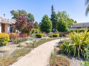 1338 Shoal Drive, San Mateo CA 94404
