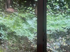 141 Chanterelle, Ben Lomond CA 95005