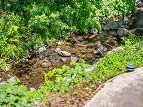 9984 Love Creek Road, Ben Lomond CA 95005