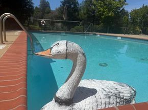 135 Vista Del Lago, Los Gatos CA 95032