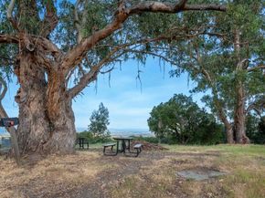 7768 Beltane Drive, San Jose CA 95135