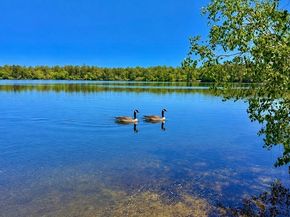 14 Spectacle Pond Ter, Wareham MA 02571