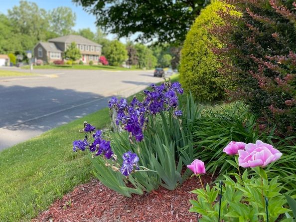 74 Bracken Drive, Marlborough MA 01752