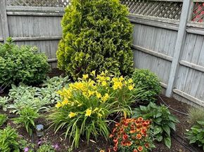 29 Thaxter Rd, Newton MA 02460