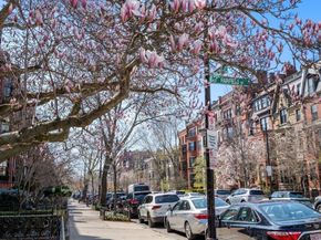 8 Fairfield Street, Boston MA 02116