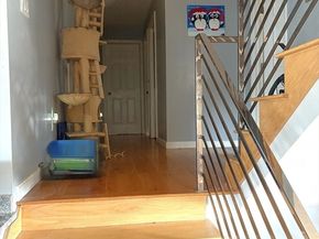 63 Doonan St, Medford MA 02155