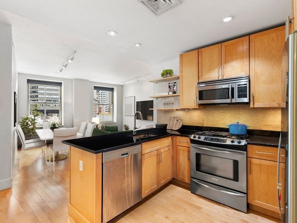 181 Essex St E402, Boston MA 02111