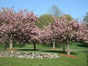 16 Bartkus Farm, Concord MA 01742