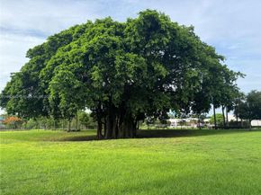 1422 Silk Oak Dr, Hollywood FL 33021