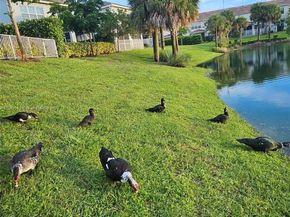 1422 Silk Oak Dr, Hollywood FL 33021