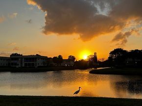 21 Saxony A 21, Delray Beach FL 33446