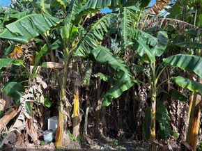 3691 SW 60th Ter, Miramar FL 33023