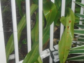 7051 Environ Bl 136, Lauderhill FL 33319