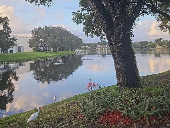 1064 NW 97th Ave 219, Pembroke Pines FL 33024