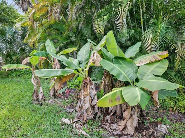 5240 Redwood Ct, Plantation FL 33317