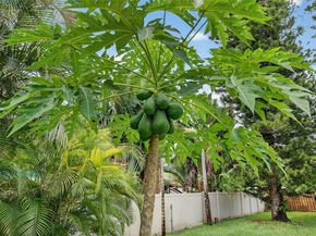 5240 Redwood Ct, Plantation FL 33317