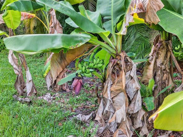 5240 Redwood Ct, Plantation FL 33317