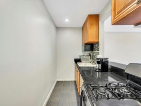 101 Lincoln Avenue 1f, Mineola NY 11501