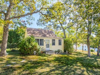51 Ficus Road