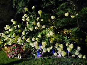 53 Jefferson Oval B, Yorktown Heights NY 10598