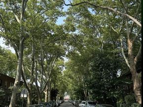 4030 44th Street, Sunnyside NY 11104