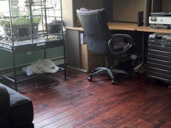 43 N Cozine Road, Manorville NY 11949